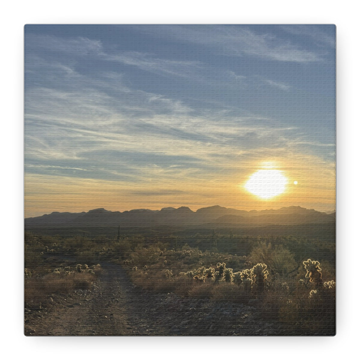 Desert Sunset Matte Canvas Wall Art