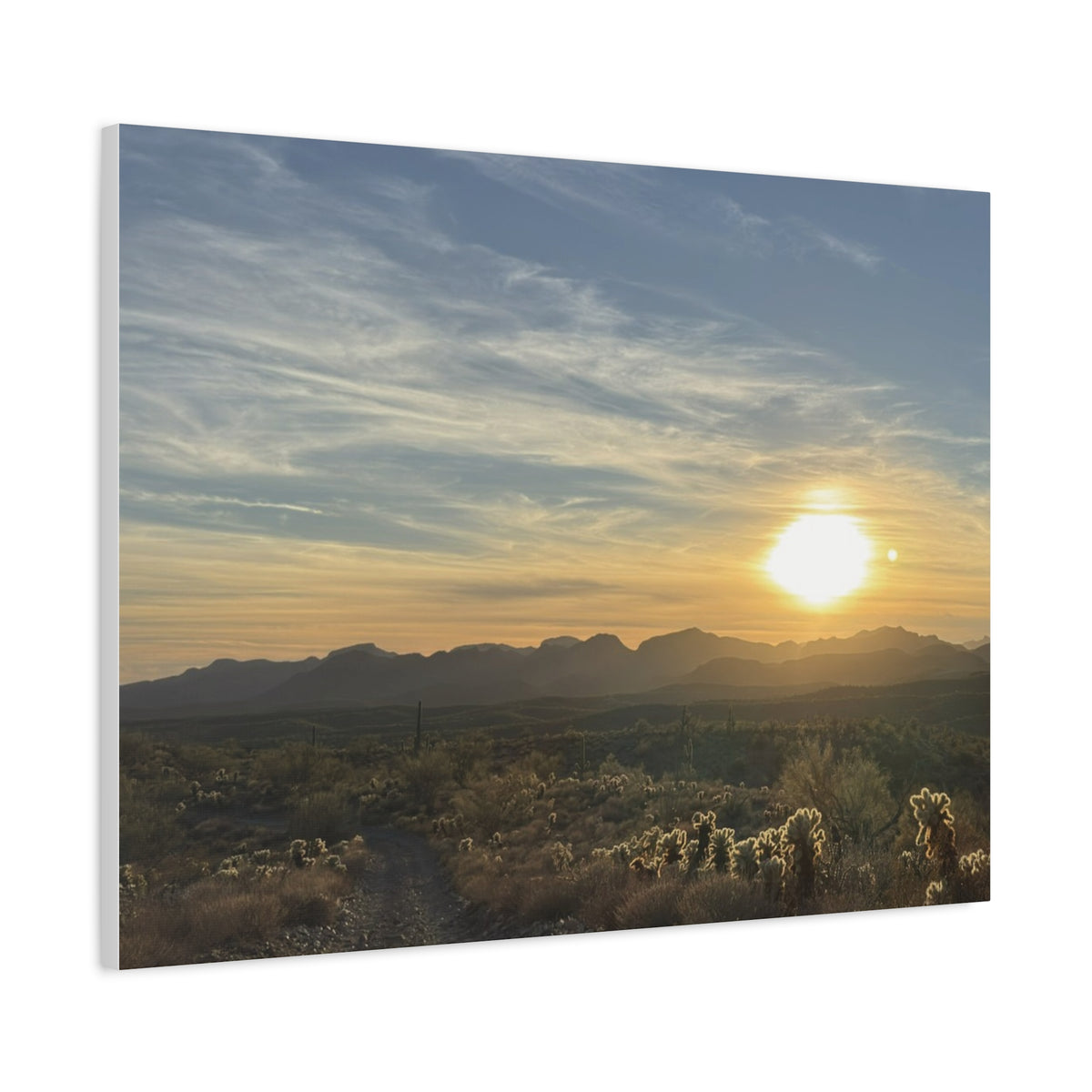 Desert Sunset Matte Canvas Wall Art