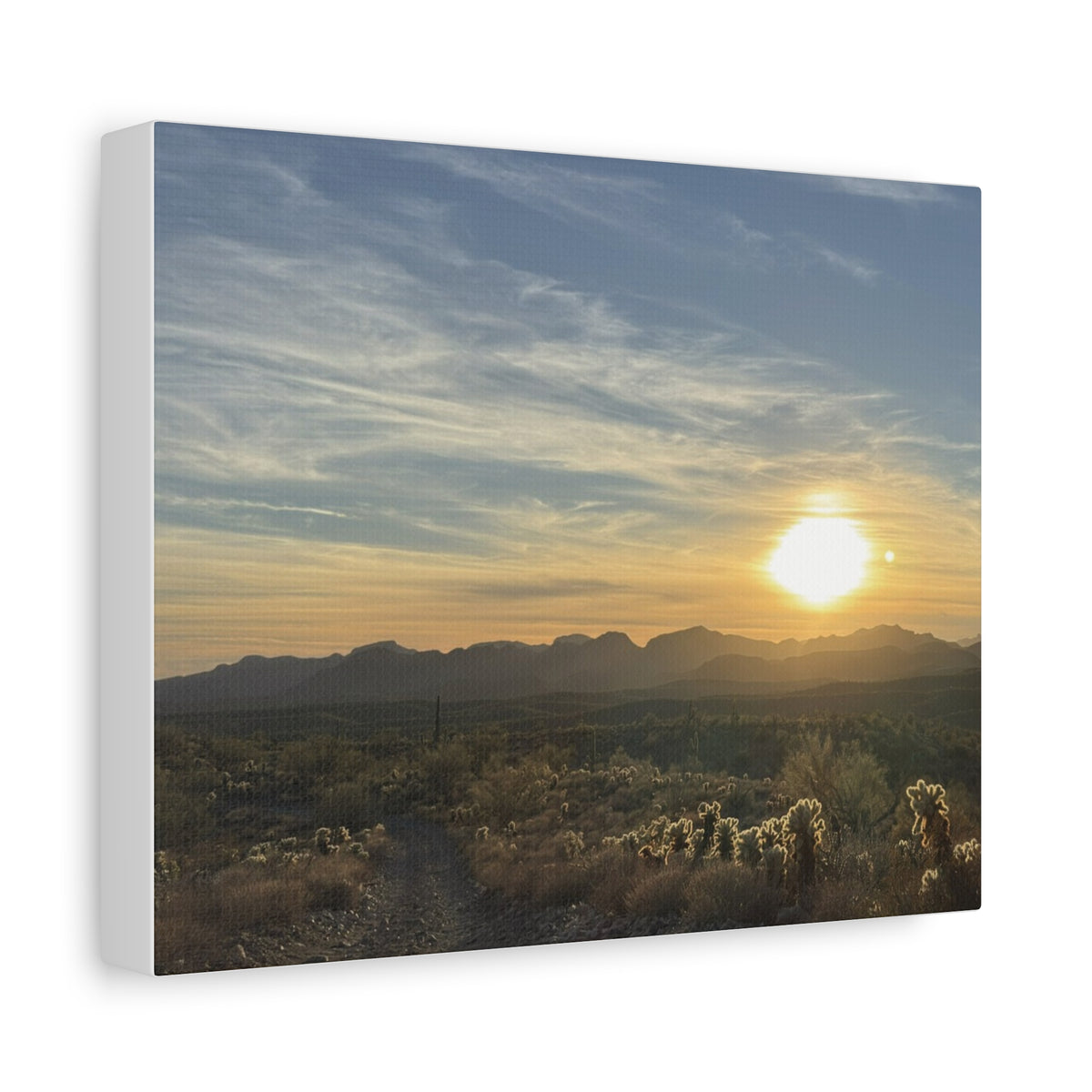 Desert Sunset Matte Canvas Wall Art