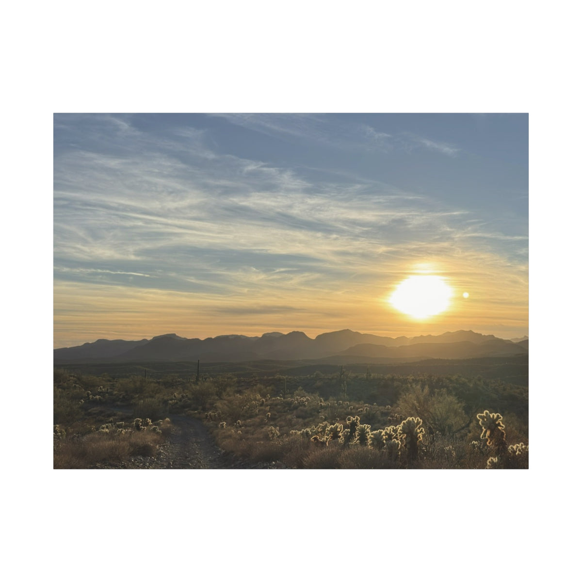 Desert Sunset Matte Canvas Wall Art