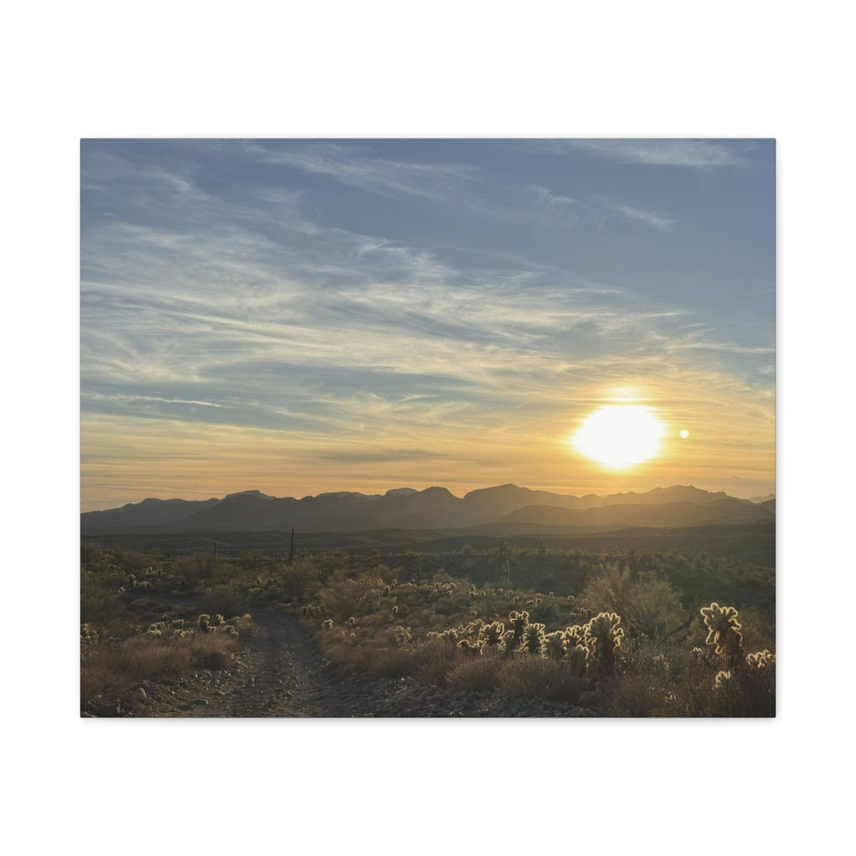 Desert Sunset Matte Canvas Wall Art