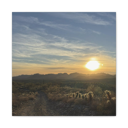 Desert Sunset Matte Canvas Wall Art